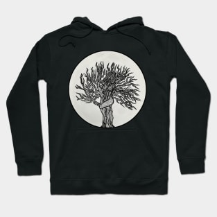 Dryad Moon - Deadtree by Vagabond The Artist Hoodie